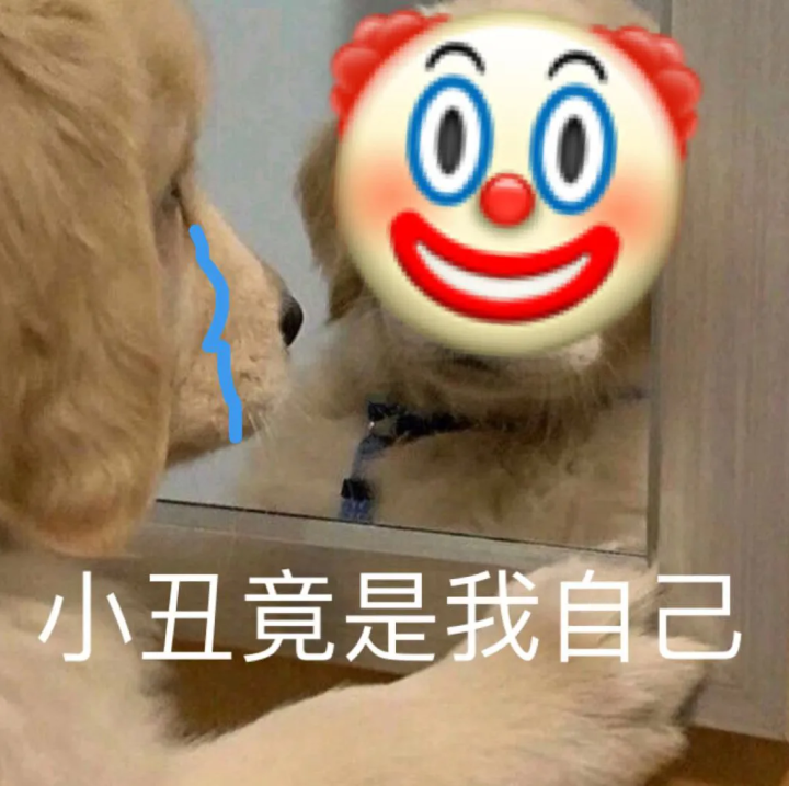 778是什么意思（分享15个网络流行用语的含义）