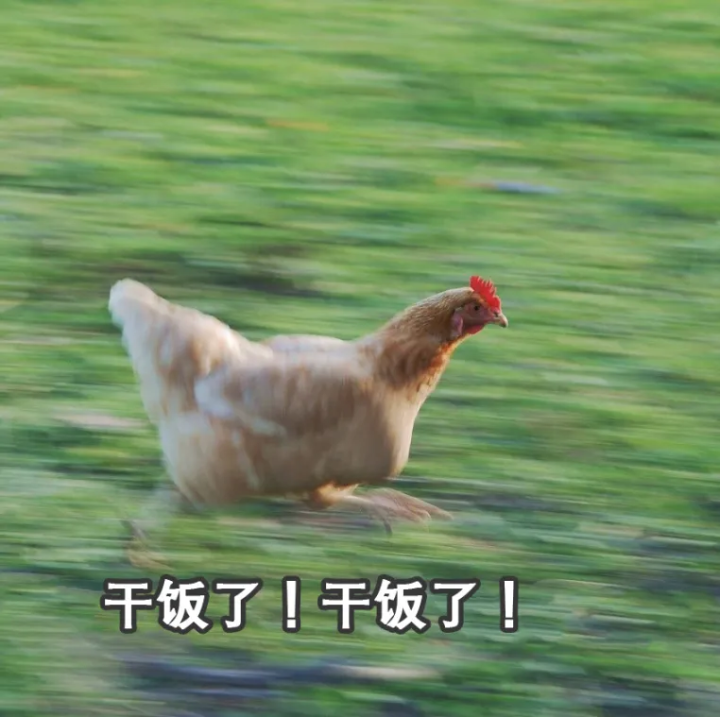 778是什么意思（分享15个网络流行用语的含义）