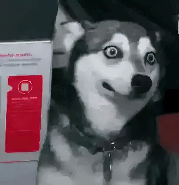 778是什么意思（分享15个网络流行用语的含义）