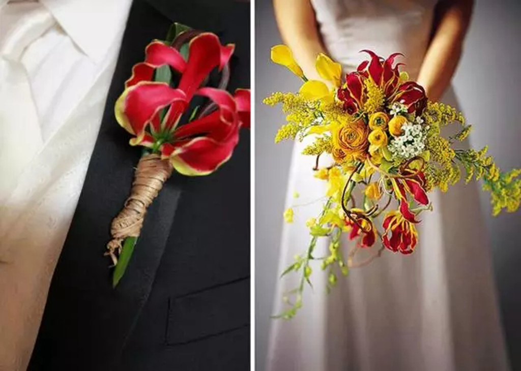 嘉兰百合什么时候种（分享嘉兰百合的黄金种植时间）