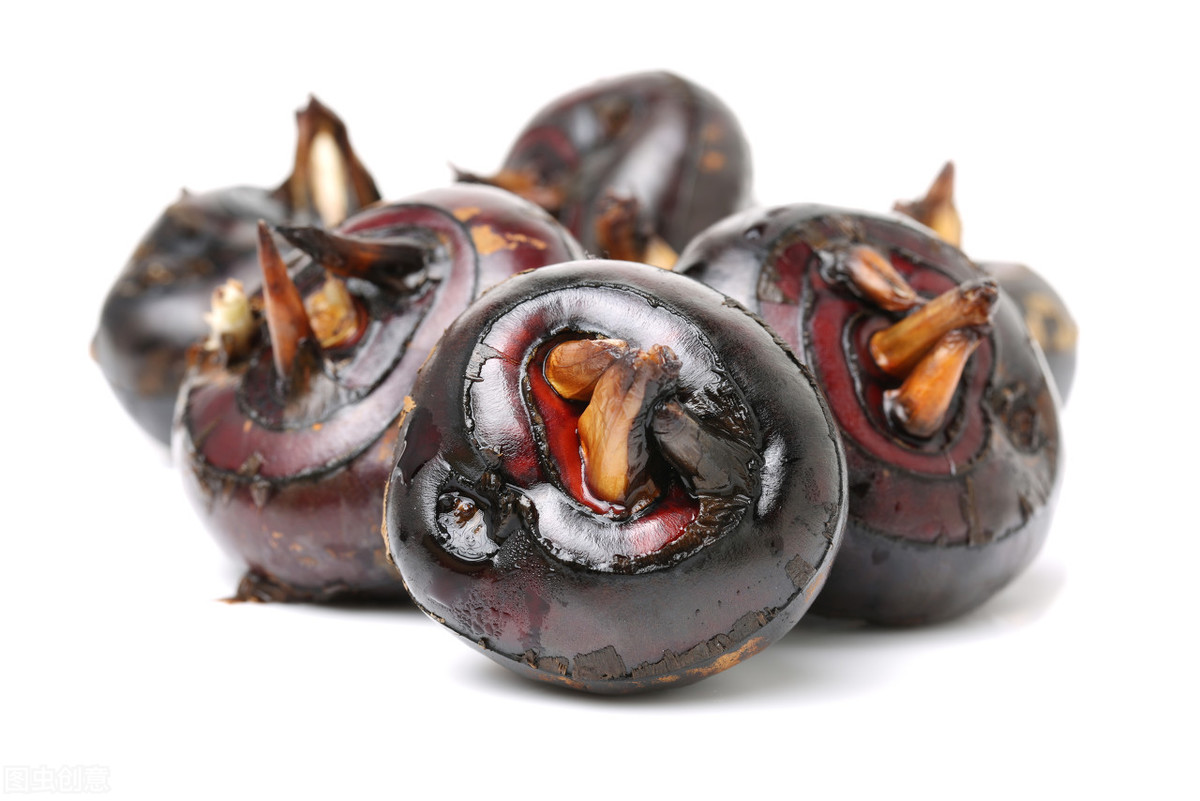 马蹄种植技术有哪些（荸荠的栽培技术及定植方法）