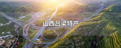 ​山西吕梁特产