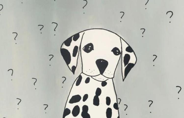 蜥蜴刺猬水獭等网红宠物会传染狂犬病吗|世界狂犬病日