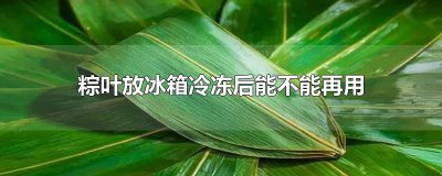​粽叶放冰箱冷冻后能不能再用