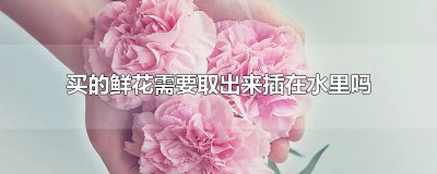 ​买的鲜花需要取出来插在水里吗