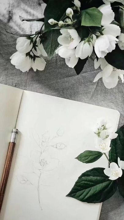 唐七抄了哪些作者（盘点涉嫌抄袭的那些作者）