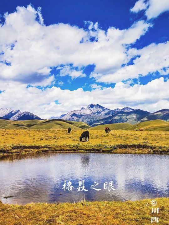 格聂之眼在哪里（详解格聂之眼的地理位置）