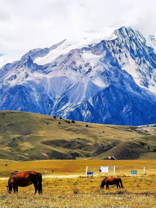 格聂之眼在哪里（详解格聂之眼的地理位置）