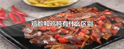 ​鸡胗和鸡肫有什么区别