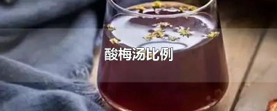 ​酸梅汤比例