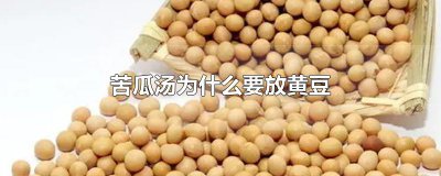 ​苦瓜汤为什么要放黄豆