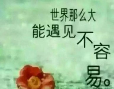 ​第一眼就心动的人怎么甘心做朋友(第一眼就心动的人,怎么甘心做朋友)