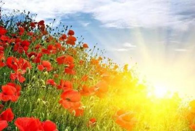 ​单亲妈妈是一种什么体验