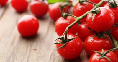 ​吃西红柿有什么好处(西红柿生吃有什么好处和坏处)