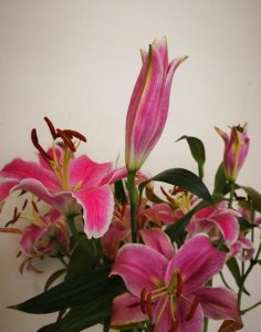 ​两地分居的爱情能维持多久