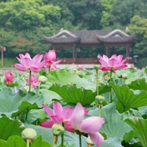 ​约会时女生主动买单是什么意思，女人主动结账有哪几个意思