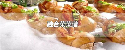 ​融合菜菜谱