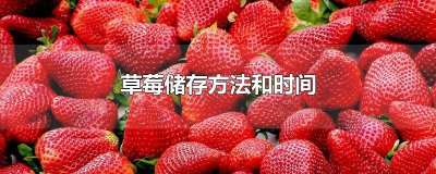 ​草莓储存方法和时间