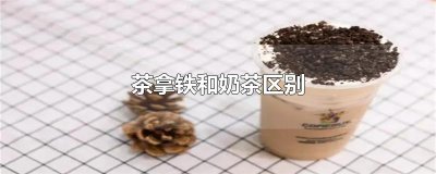 ​茶拿铁和奶茶区别