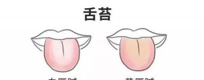 ​怎么才能快速减去大肚腩(大肚腩怎么样减掉基本动作)