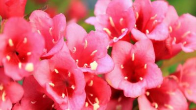 ​怎么样和喜欢的女孩子聊天，学会三个聊天小技巧