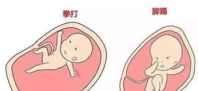 ​男孩的胎动和女孩的区别(怀男孩和女孩的胎动有什么区别)