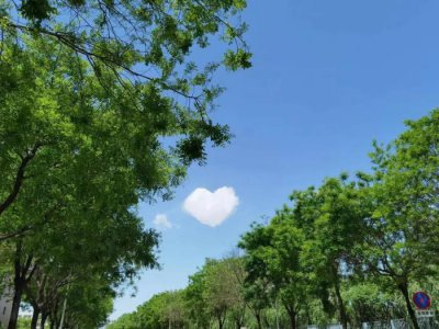 ​男朋友出轨该不该分手（男朋友出轨了该不该原谅）