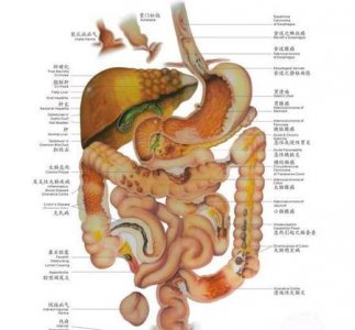 ​如何知道大便正不正常(宝宝大便怎么判断是否正常)