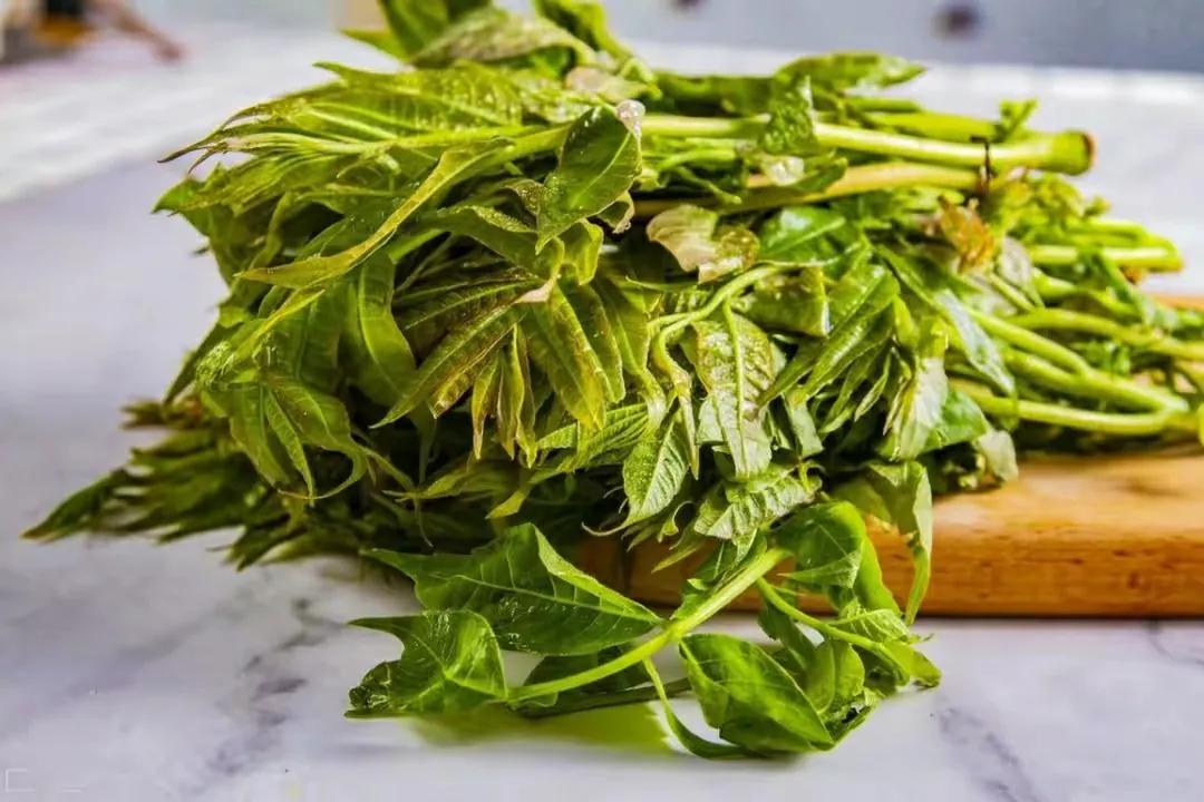 春季吃香椿“忌讳”多，牢记：1不吃、2不放、3不要，不懂别乱吃