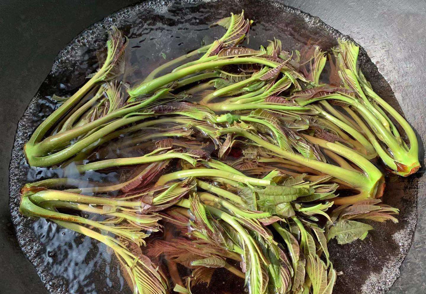 春季吃香椿“忌讳”多，牢记：1不吃、2不放、3不要，不懂别乱吃