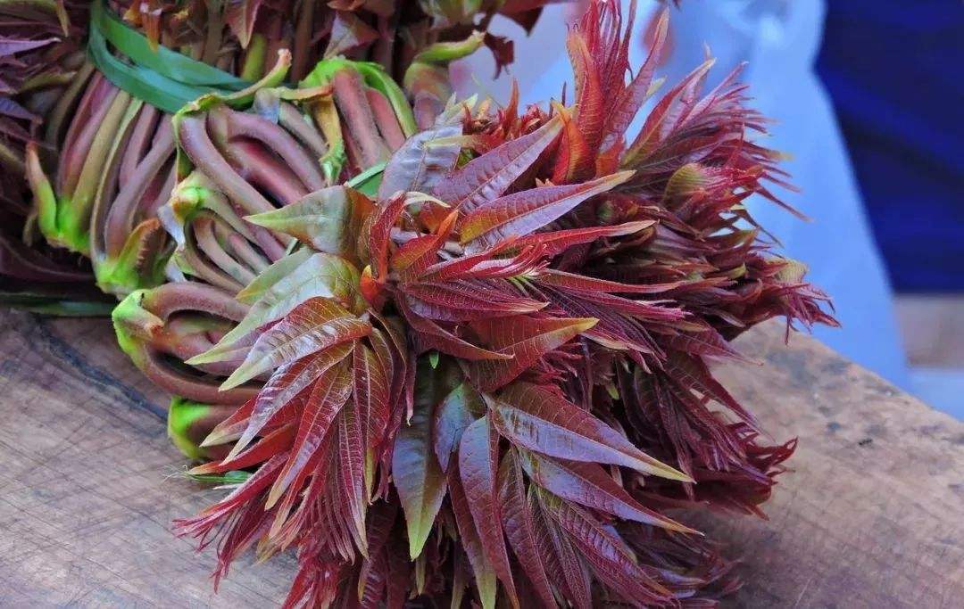 春季吃香椿“忌讳”多，牢记：1不吃、2不放、3不要，不懂别乱吃