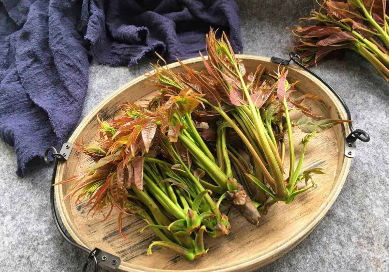 春季吃香椿“忌讳”多，牢记：1不吃、2不放、3不要，不懂别乱吃