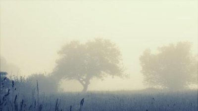 ​逝去的人是什么意思(梦到死去的是什么意思)