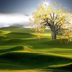 ​婚姻出轨了还要继续吗（出轨的婚姻到底要不要继续）