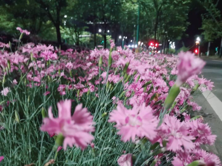 方式状语是什么意思（方式状语用法文章介绍）