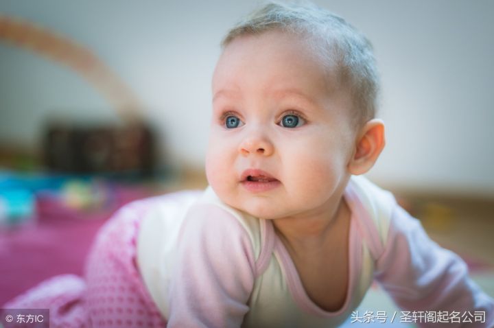 晨字五行属金还是火（五行缺金的名字分享）