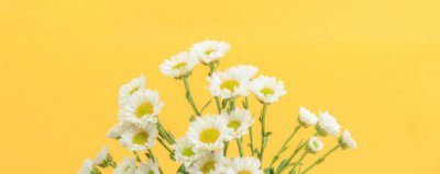 ​黄色在日本的象征意义是什么