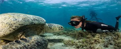 ​会游泳可以去潜水吗