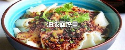 ​油泼面热量