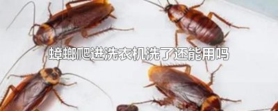 ​蟑螂爬进洗衣机洗了还能用吗
