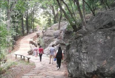 ​低谷期该怎么调整心情