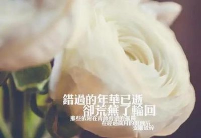 ​夫妻两个人都出轨婚姻还能继续过吗(夫妻彼此出轨后婚姻怎么继续)