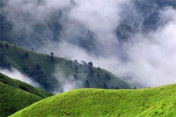 江西吉安旅游必去十大景点江西吉安市（吉安旅游景点推荐）(图5)