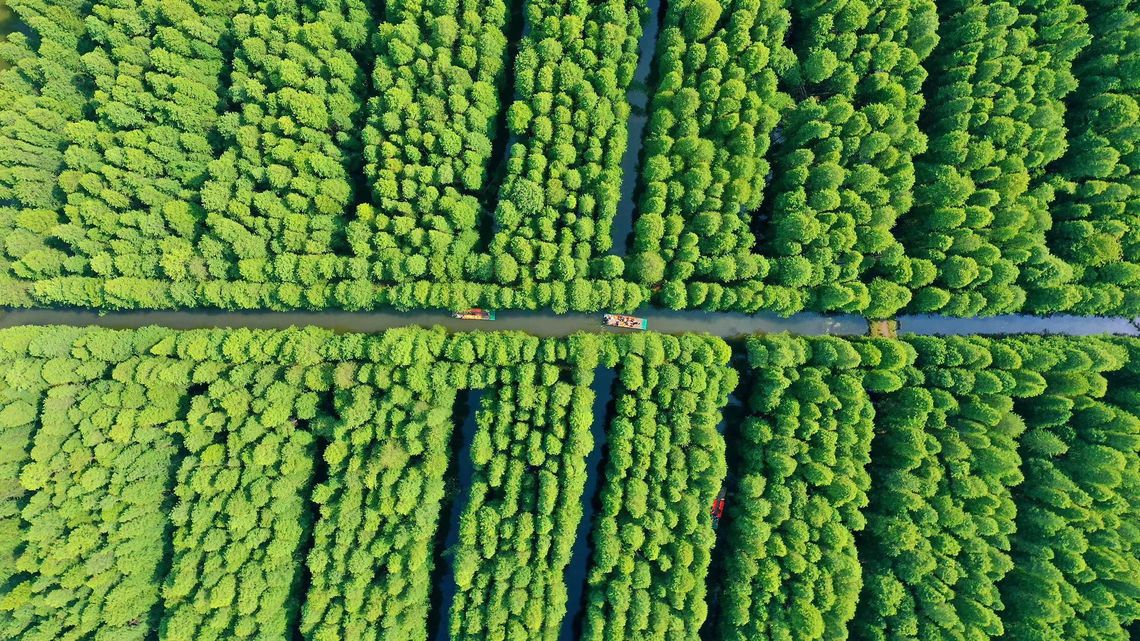 江苏有什么旅游景点推荐一下呗（江苏旅游景点大全景点排名）(图6)