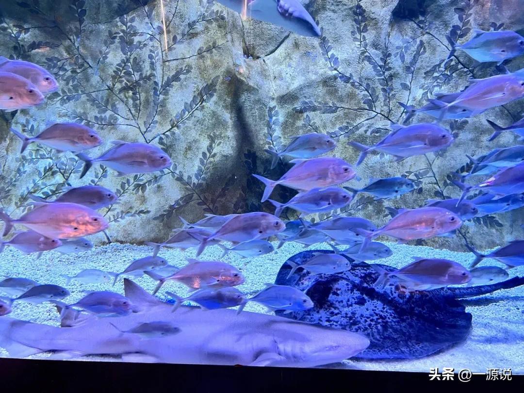 深坑酒店多少钱一晚（上海深坑酒店旅游攻略）(图7)