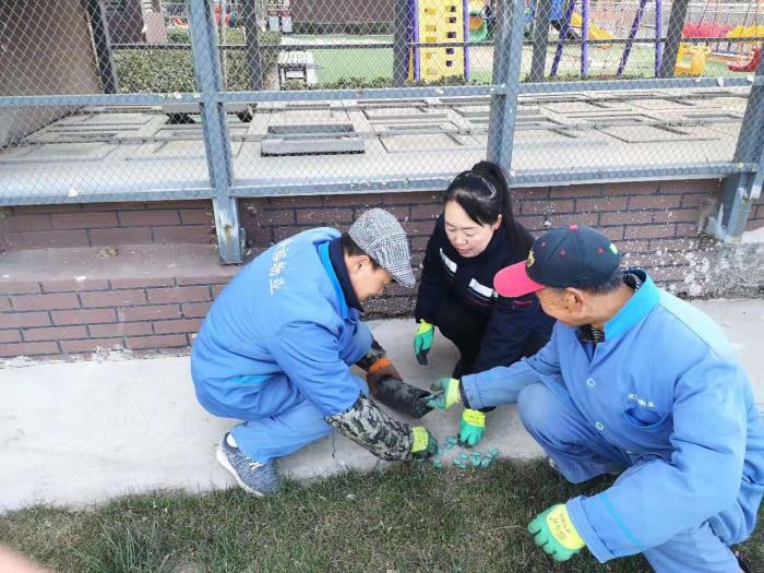 灭鼠工作总结（霍家营社区冬季灭鼠工作总结）