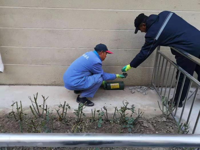 灭鼠工作总结（霍家营社区冬季灭鼠工作总结）