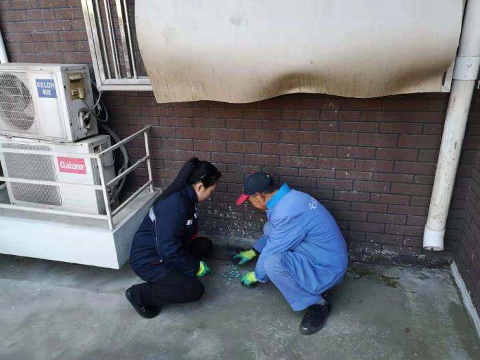 灭鼠工作总结（霍家营社区冬季灭鼠工作总结）