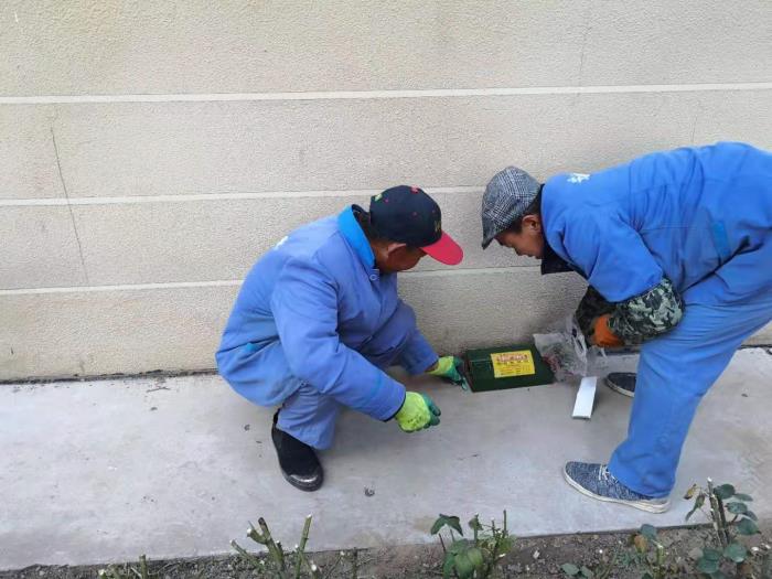 灭鼠工作总结（霍家营社区冬季灭鼠工作总结）