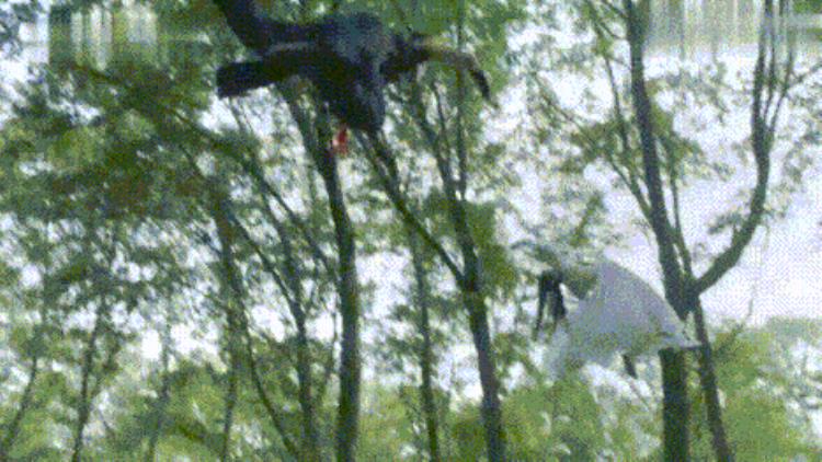 国产影视剧为啥总被吐槽因为都用了一样的模板呢「国产影视剧为啥总被吐槽因为都用了一样的模板」